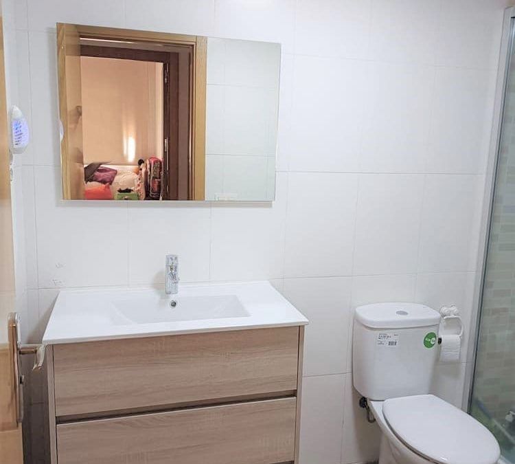 Colocación mueble baño y cambio wc
