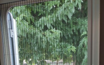 Mosquitera para caravana
